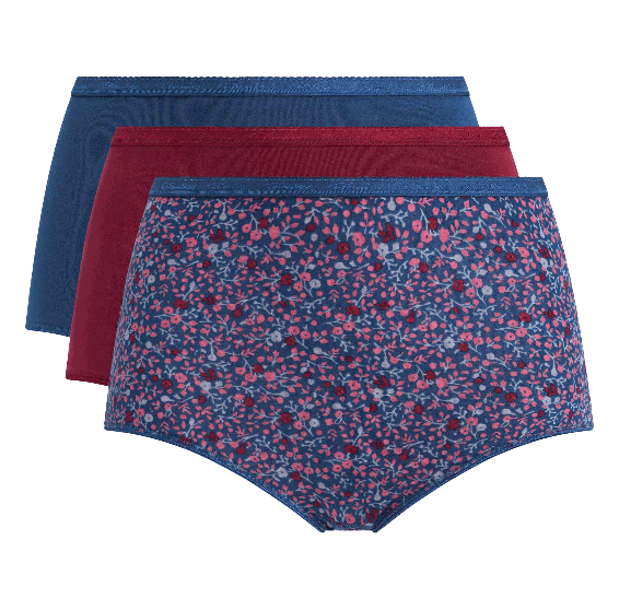 PACK OF 3 KNICKERS<br /> HIGH RISE